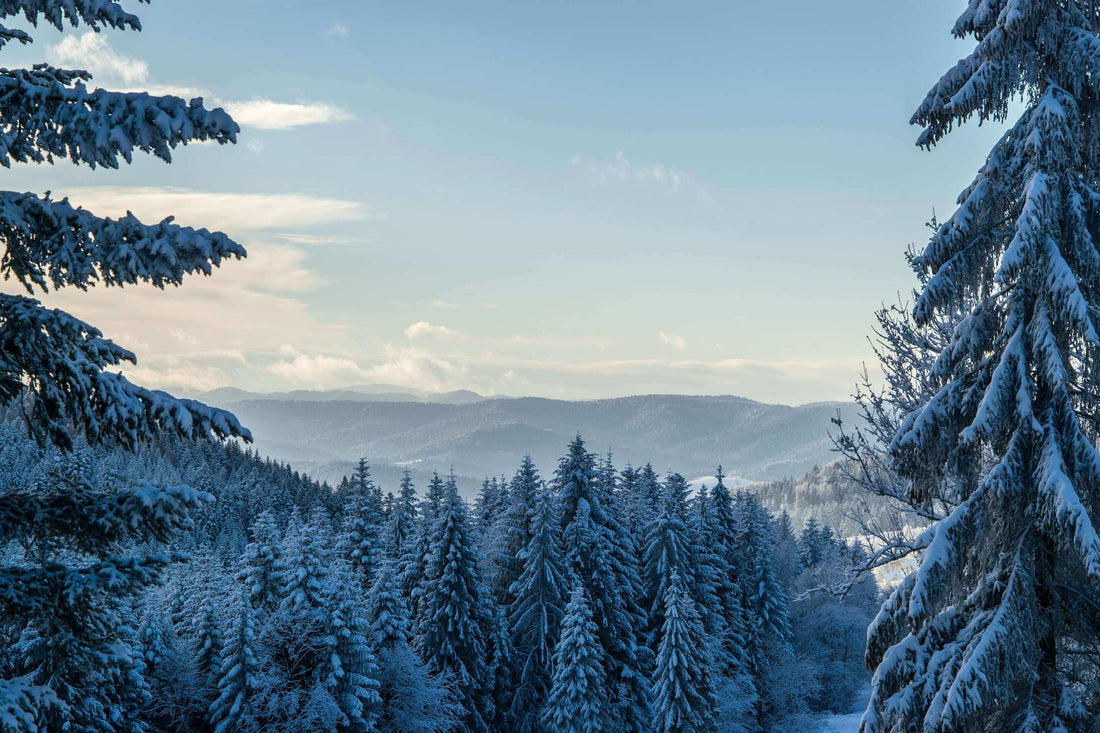 10 Winter Activities in the PNW That Your Kids Will Love!